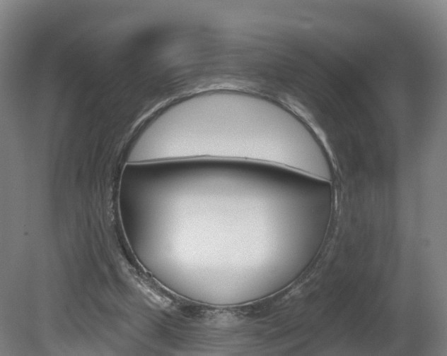 X0000082180249200701191100