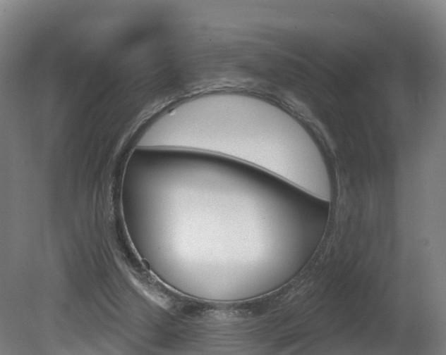 X0000082180250200701191100