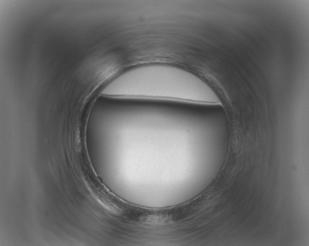 X0000082180251200701191100
