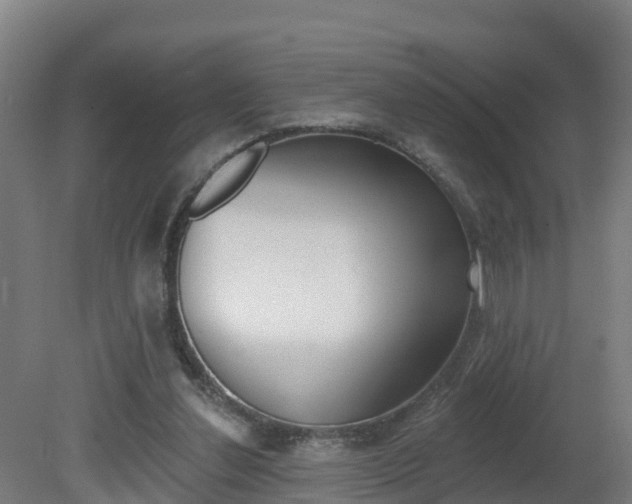 X0000082180252200701191100