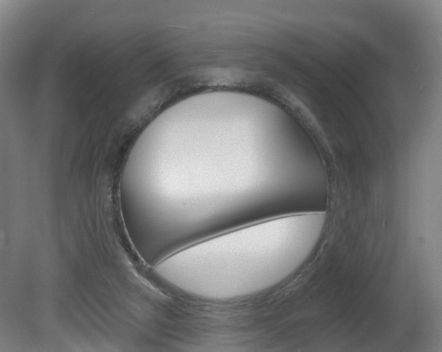 X0000082180257200701191100