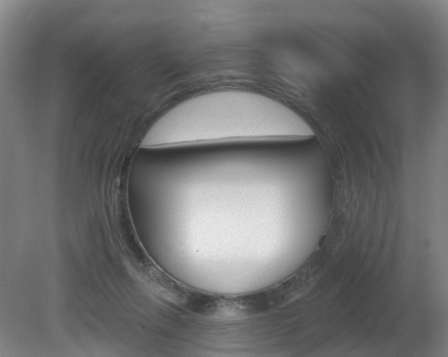 X0000082180263200701191100