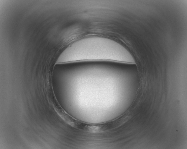 X0000082180265200701191100