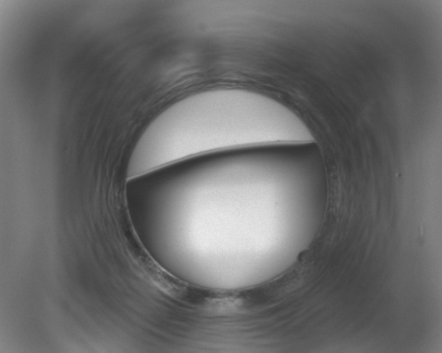 X0000082180266200701191100