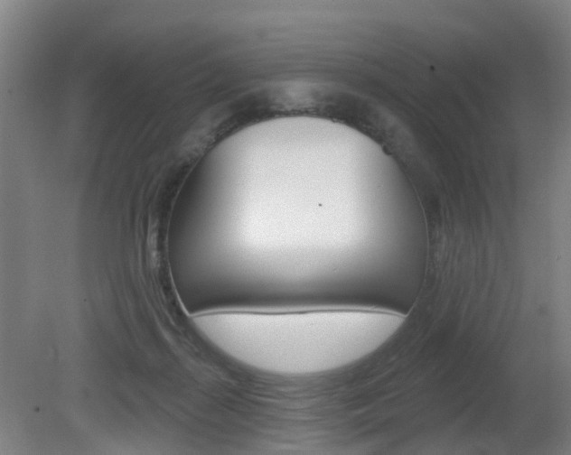 X0000082180267200701191100
