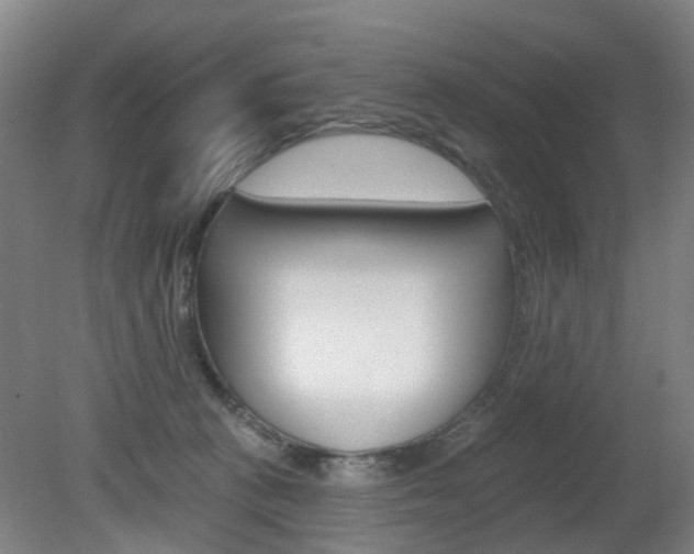 X0000082180273200701191100