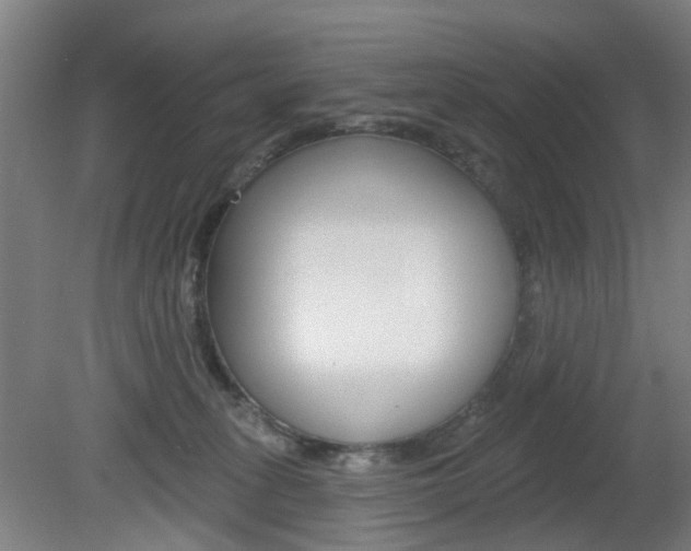 X0000082180275200701191100