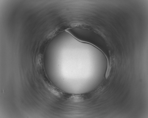 X0000082180280200701191100