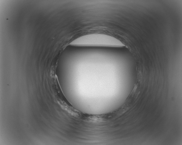 X0000082180284200701191100