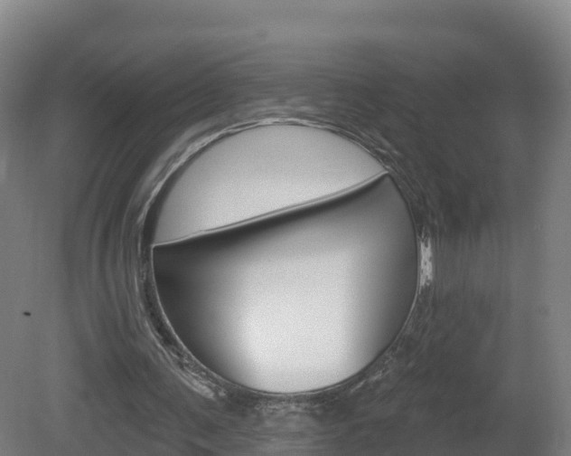X0000082180291200701191100
