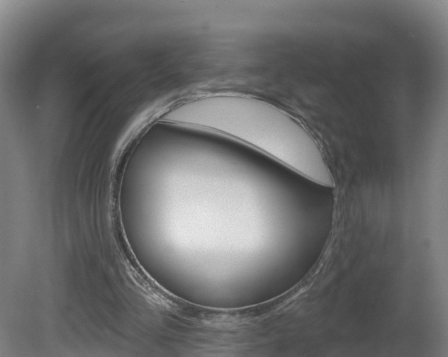 X0000082180293200701191100
