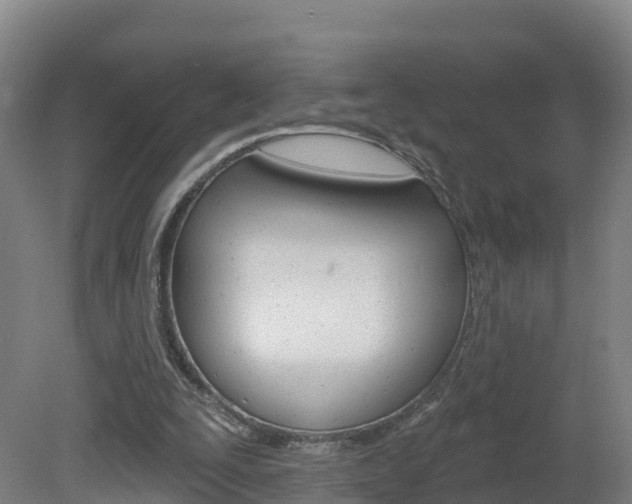 X0000082180295200701191100