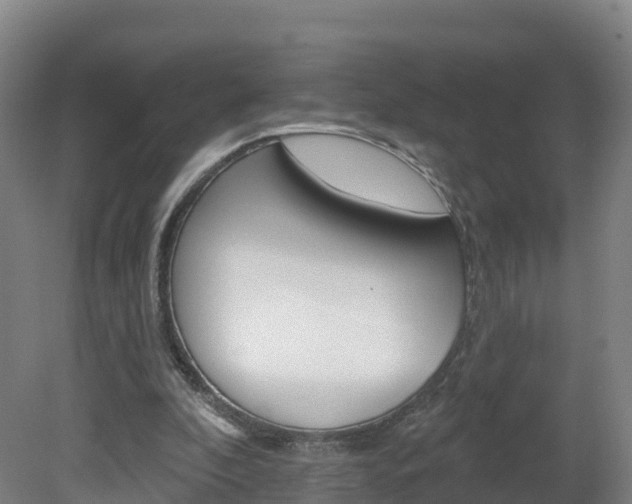 X0000082180296200701191100