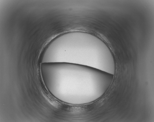 X0000082180298200701191059