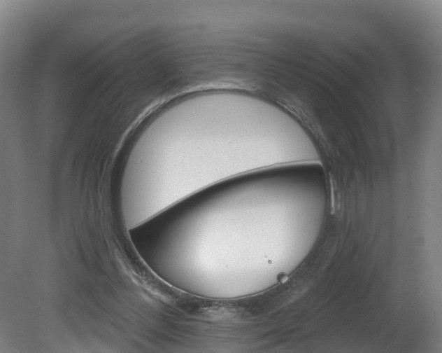 X0000082180300200701191059