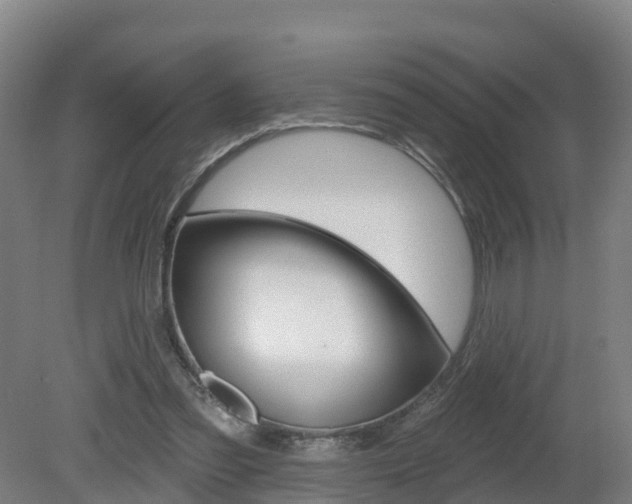 X0000082180301200701191059