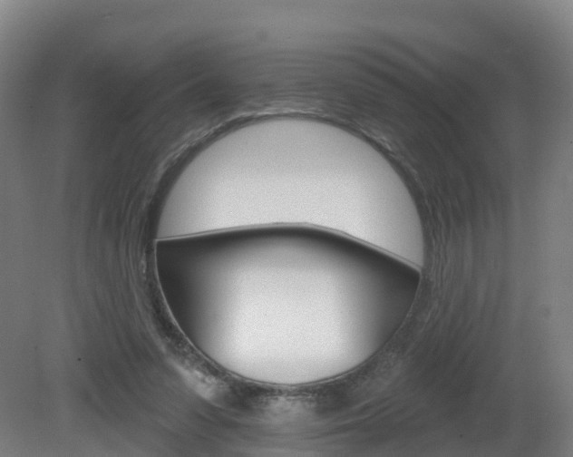 X0000082180303200701191059