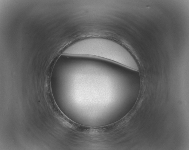 X0000082180305200701191059