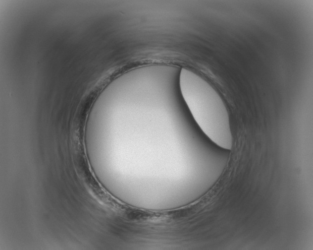 X0000082180306200701191059