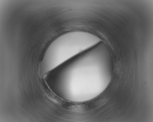 X0000082180307200701191059