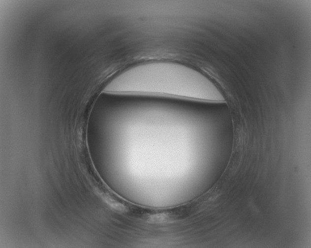 X0000082180309200701191059