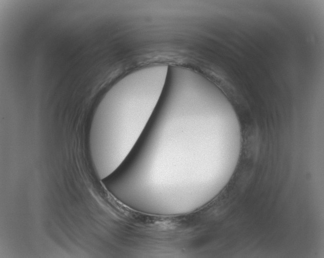 X0000082180310200701191059