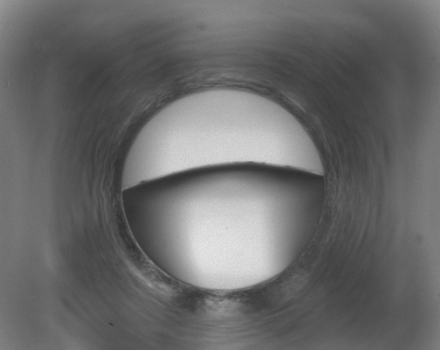 X0000082180311200701191059