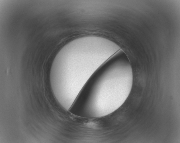 X0000082180312200701191059