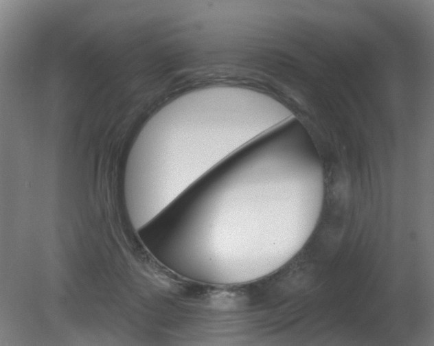 X0000082180315200701191059