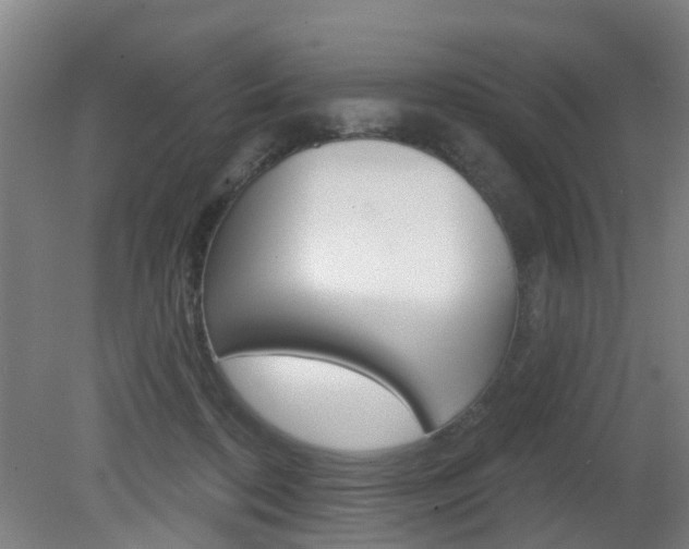 X0000082180316200701191059