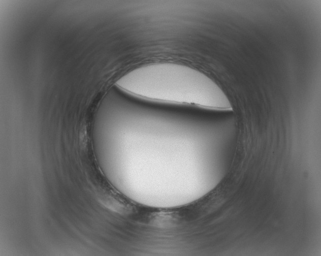 X0000082180320200701191059