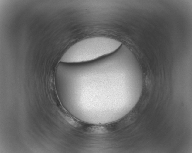 X0000082180322200701191059