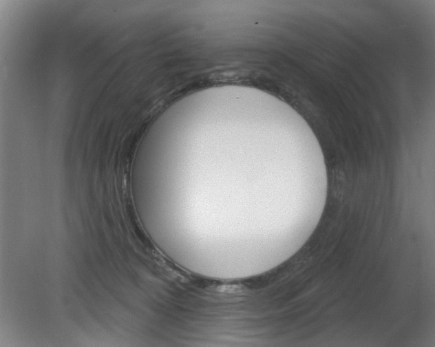 X0000082180324200701191059