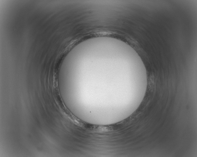 X0000082180330200701191059