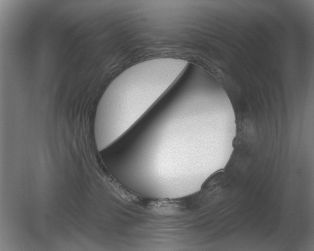 X0000082180331200701191059