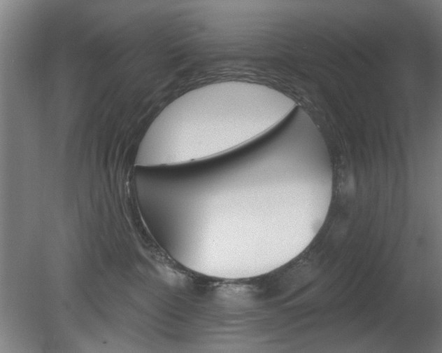 X0000082180332200701191059