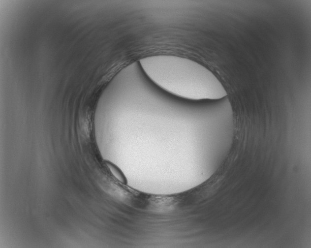 X0000082180334200701191059
