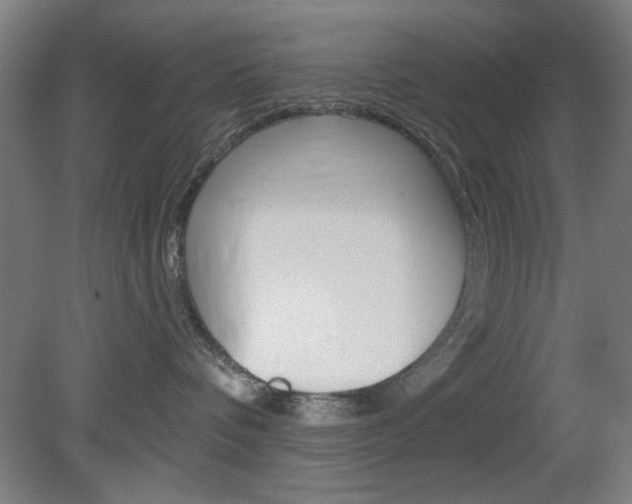 X0000082180336200701191059