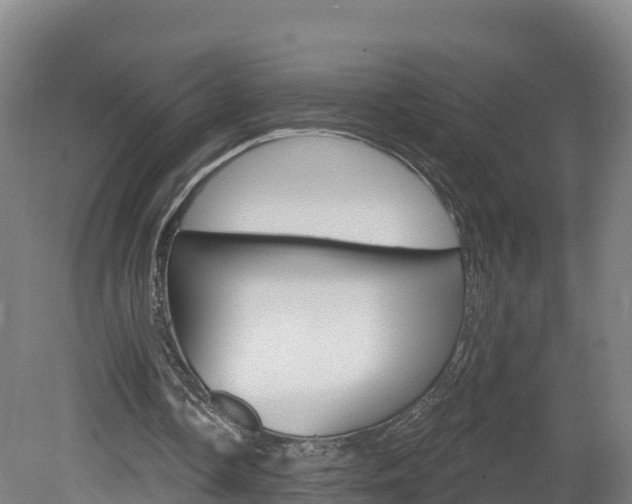 X0000082180338200701191058