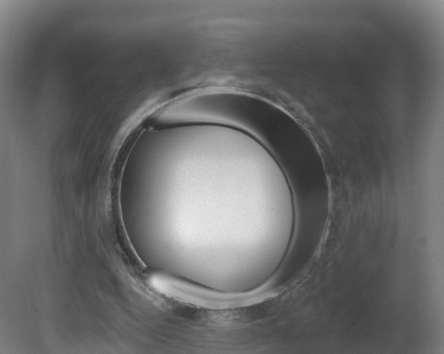 X0000082180344200701191058