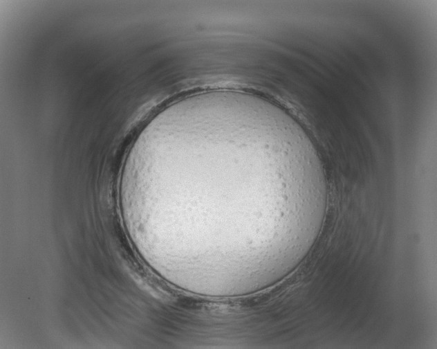 X0000082180347200701191058