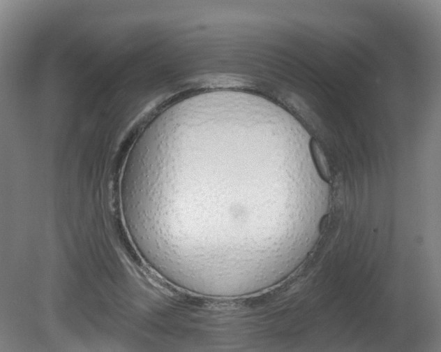 X0000082180351200701191058