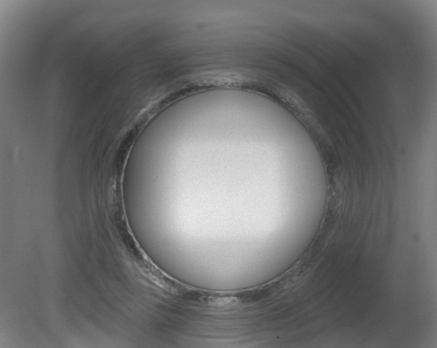 X0000082180355200701191058