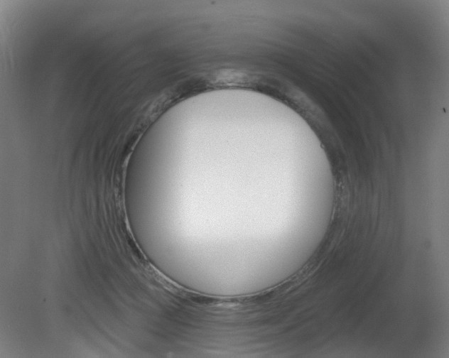 X0000082180361200701191058