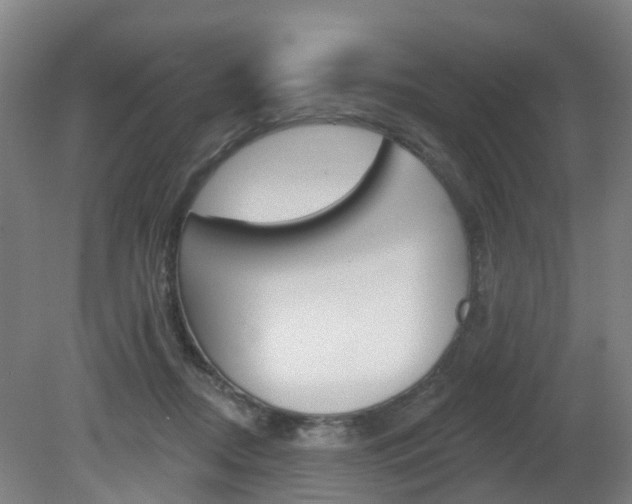 X0000082180362200701191058
