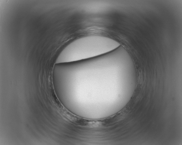 X0000082180363200701191058