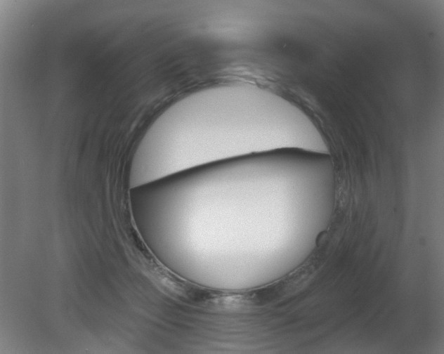X0000082180365200701191059