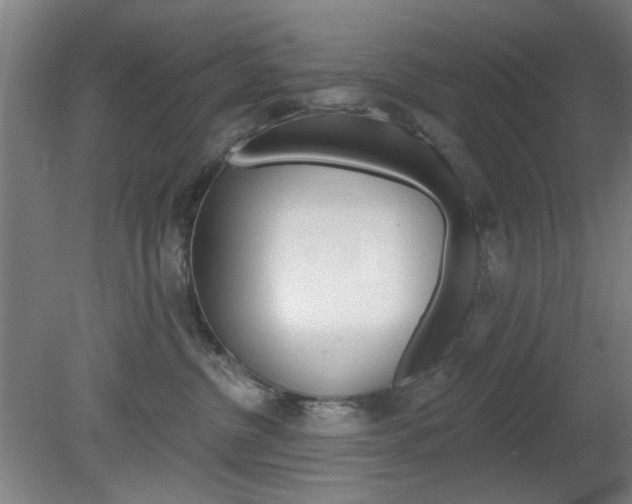 X0000082180380200701191059