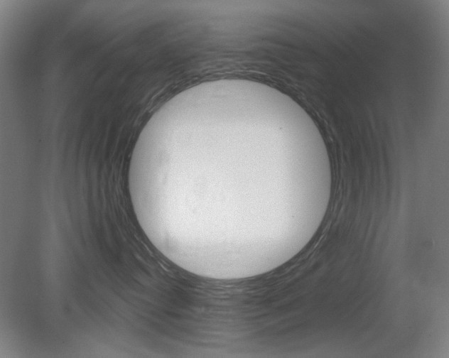 X0000082180384200701191059