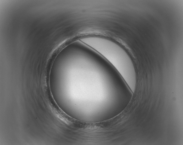 X0000082180399200701191058